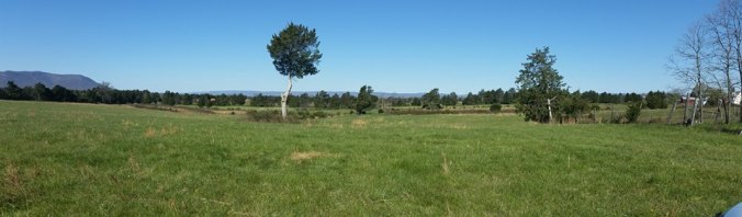 12963424_10101096712476485_6175699313132569086_n